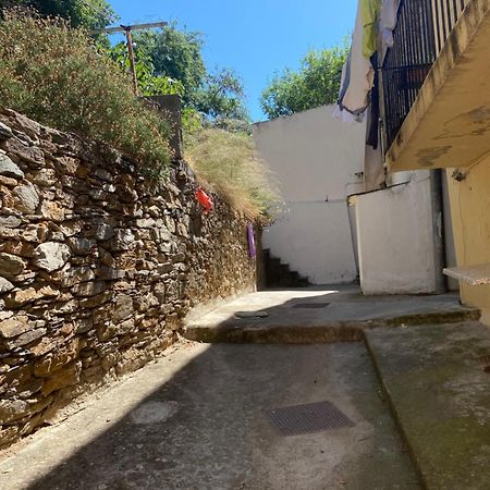 Bel Appartement A 3 Minutes De La Plage Bastia  Extérieur photo